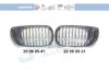JOHNS 20 08 05-31 Radiator Grille